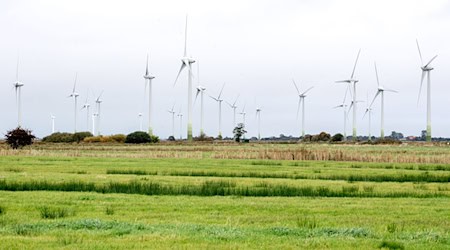 In Niedersachsen drehen sich immer mehr Windräder. (Archivbild) / Foto: Hauke-Christian Dittrich/dpa In Niedersachsen drehen sich immer mehr Windräder. (Archivbild) / Foto: Hauke-Christian Dittrich/dpa