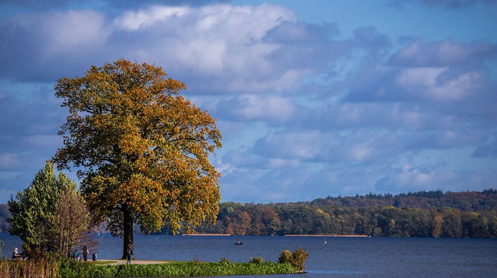In den kommenden Tagen bleibt das Wetter herbstlich-mild, bevor es zur Wochenmitte wieder wolkiger wird. (Symbolbild) / Foto: Jens Büttner/dpa