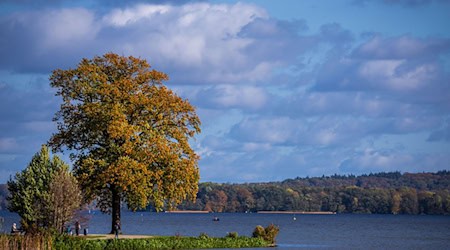 In den kommenden Tagen bleibt das Wetter herbstlich-mild, bevor es zur Wochenmitte wieder wolkiger wird. (Symbolbild) / Foto: Jens Büttner/dpa