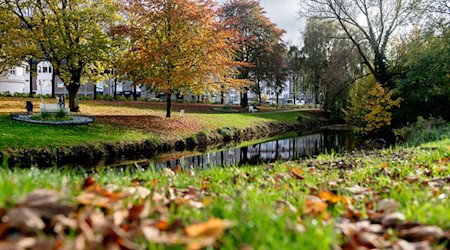 Das Wetter in Norddeutschland bleibt zunächst freundlich, ab Freitag wird es stürmischer und kühler. (Symbolbild) / Foto: Hauke-Christian Dittrich/dpa