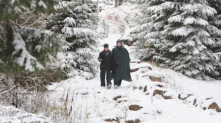 Die ersten Schneeflocken haben den Harz erreicht. / Foto: Matthias Bein/dpa Die ersten Schneeflocken haben den Harz erreicht. / Foto: Matthias Bein/dpa