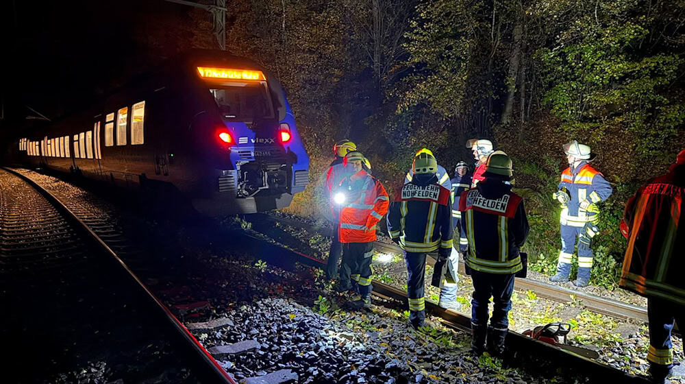Bei dem Zusammenstoß mit einem Baum wurde kein Passagier des Zuges verletzt.  / Foto: Thorsten Kremers/dpa