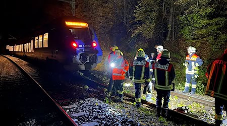 Bei dem Zusammenstoß mit einem Baum wurde kein Passagier des Zuges verletzt.  / Foto: Thorsten Kremers/dpa