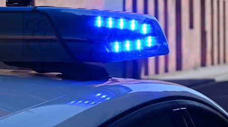 Wie es zu dem Unfall auf der Autobahn kam, war zunächst unklar. (Symbolbild) / Foto: Patrick Pleul/dpa