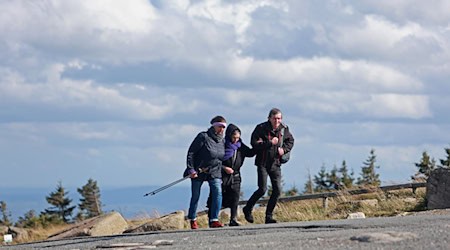 Für Lagen über 1.000 Meter im Harzer Bergland gilt Samstag eine Unwetterwarnung vor orkanartigen Böen. (Archivbild) / Foto: Matthias Bein/dpa