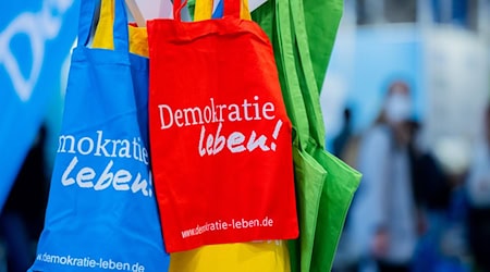 Wenn Schulen sich für Demokratie und Diversität einsetzen, werden sie oft gezielt angegangen, sagt der Chef des Schulleitungsverbands. (Symbolbild) / Foto: Rolf Vennenbernd/dpa