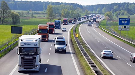 Höheren Lohn sollen die Beschäftigten in der Speditions- und Logistikbranche vom 1. Oktober an bekommen. (Archivfoto) / Foto: Soeren Stache/dpa