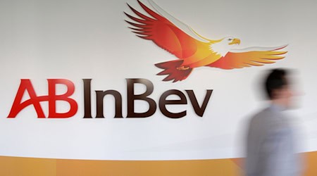 Der weltgrößte Braukonzern AB Inbev bringt sein Lagerbier zurück auf den deutschen Markt. (Archivbild)  / Foto: Yves Logghe/ap/dpa