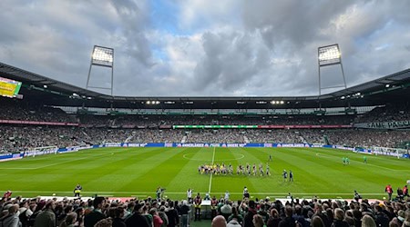 Volles Haus: 37.000 Zuschauer sehen das Nordderby zwischen Werder Bremen und dem Hamburger SV im Weserstadion. / Foto: Carmen Jaspersen/dpa