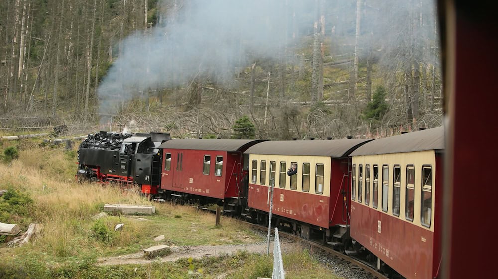Die Harzer Schmalspurbahn prüft, ob sie am Vormittag zum Brocken fährt. (Archivbild) / Foto: Matthias Bein/dpa-Zentralbild/dpa