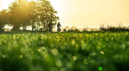 Mildes Herbstwetter für die kommenden Tage prognostiziert der DWD - die Sonne bleibt aber rar.  / Foto: Sina Schuldt/dpa
