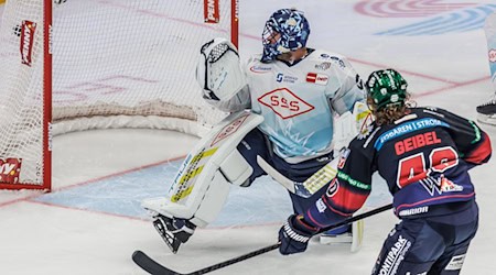 Torwart Julius Hudacek wechselt zu den Fischtown Pinguins Bremerhaven. (Archivbild) / Foto: Andreas Gora/dpa Torwart Julius Hudacek wechselt zu den Fischtown Pinguins Bremerhaven. (Archivbild) / Foto: Andreas Gora/dpa