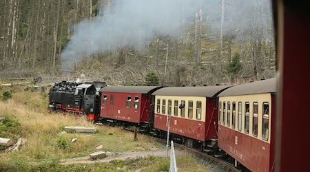 Der Landtag will über die Zukunft der Harzer Schmalspurbahnen diskutieren. (Archivbild) / Foto: Matthias Bein/dpa-Zentralbild/dpa