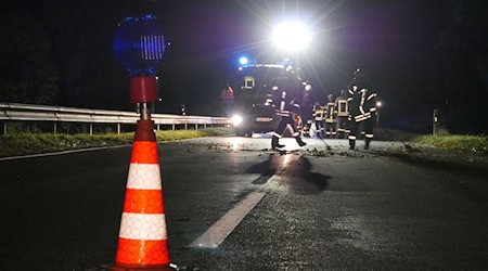 Beide Autofahrer werden verletzt, zwei Rinder sterben. (Symbolbild) / Foto: Kay-Helge Hercher/dpa