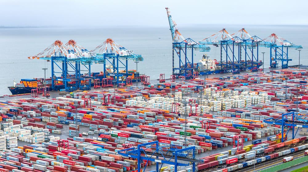 Der Bund investiert viel Geld in die Infrastruktur des Hafens. (Archivfoto) / Foto: Sina Schuldt/dpa