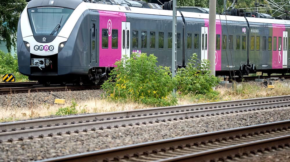 20 Männer setzten einen Regionalzug fest und besprühen ihn mit Graffiti. (Symbolbild) / Foto: Hauke-Christian Dittrich/dpa