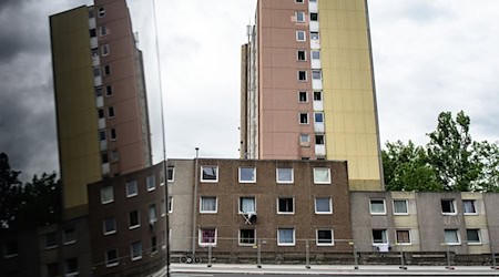 Das Gebäude ist wegen der schlechten Lebensumstände dort überregional bekannt. (Archivbild) / Foto: Swen Pförtner/dpa