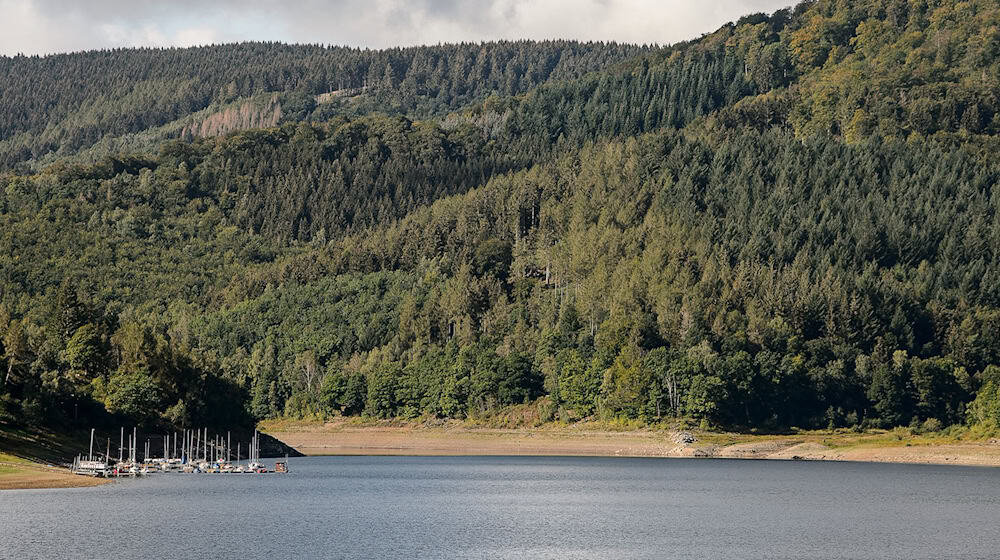 Blick auf den Stausee der Innerstetalsperre. (Archivbild) / Foto: Swen Pförtner/dpa