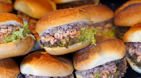 Die Preise für Nordseekrabben könnten bis Weihnachten sinken, sagt ein Experte. (Archivbild) / Foto: Marcus Brandt/dpa