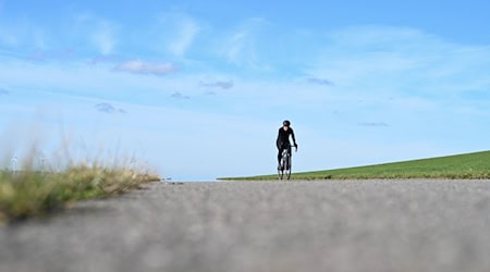 Das Wochenende startet freundlich und sonnig. (Symbolbild) / Foto: Lars Penning/dpa