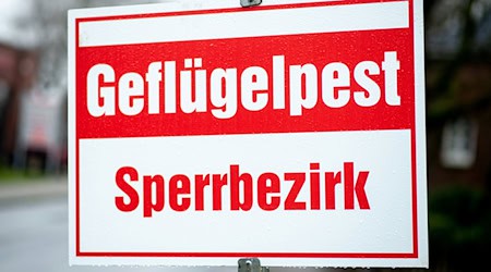 Die in Niedersachsen herrschende Geflügelpest stellt die Landwirte auf eine harte Probe, vor allem auch finanziell. (Archivfoto) / Foto: Hauke-Christian Dittrich/dpa