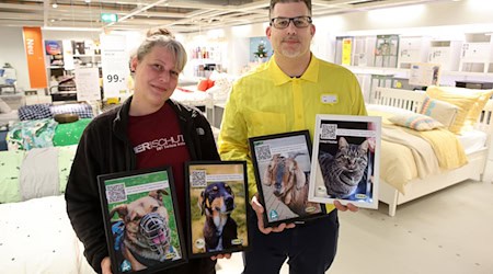Mit Fotos werben Tierheimleiterin Sarah Ross und Ikea-Abteilingsleiter Gerrit Kaminski mitten in der Möbelausstellung für schwer vermittelbar Tiere. / Foto: Christian Butt/dpa