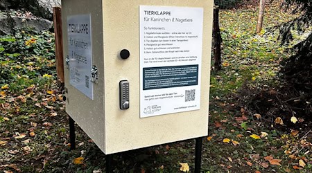 Die erste «Tierklappe» der Schweiz - das Konzept ist nicht unumstritten. / Foto: -/Stiftung Tierklappe/dpa