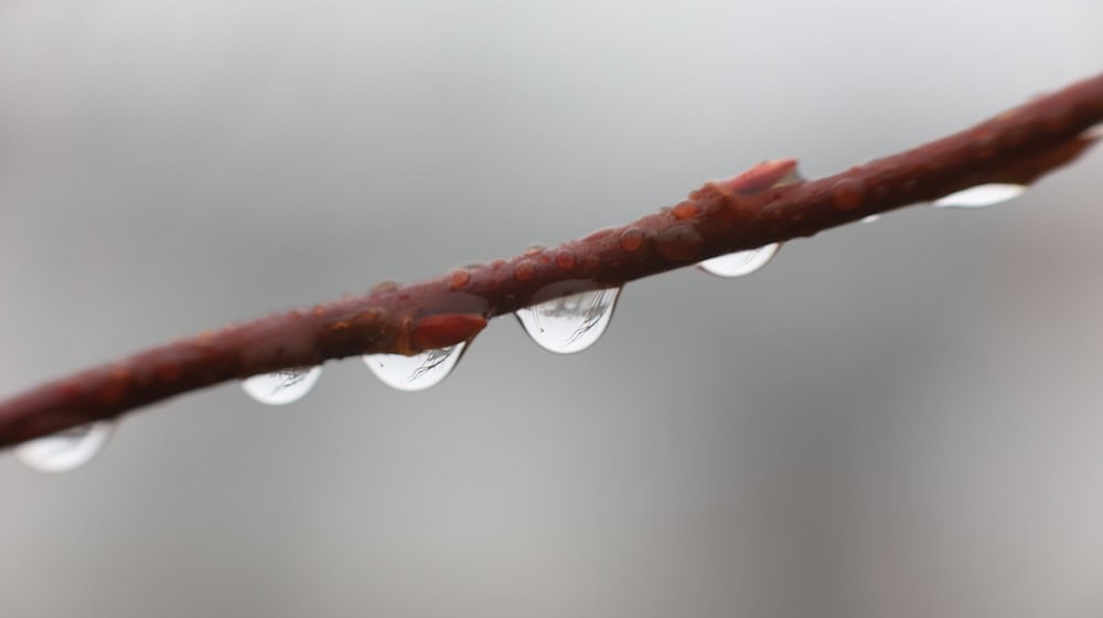 Das Wetter zeigt sich von seiner ungemütlichen Seite. (Symbolbild) / Foto: Matthias Bein/dpa