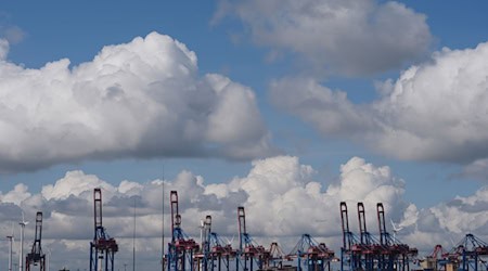 Der Hamburger Hafen ist mit seinen vier Containerterminals Deutschlands größter. (Archivbild)  / Foto: Marcus Brandt/dpa
