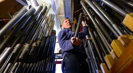 Die historische Orgel in der Lüneburger St.-Johannis-Kirche wird aufwendig restauriert.  / Foto: Philipp Schulze/dpa