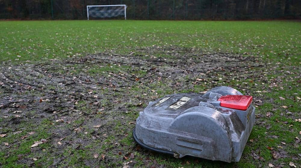 Rasenmähroboter «Robby» hatte sich unbemerkt im Rasen festgefahren.  / Foto: Lars Penning/dpa