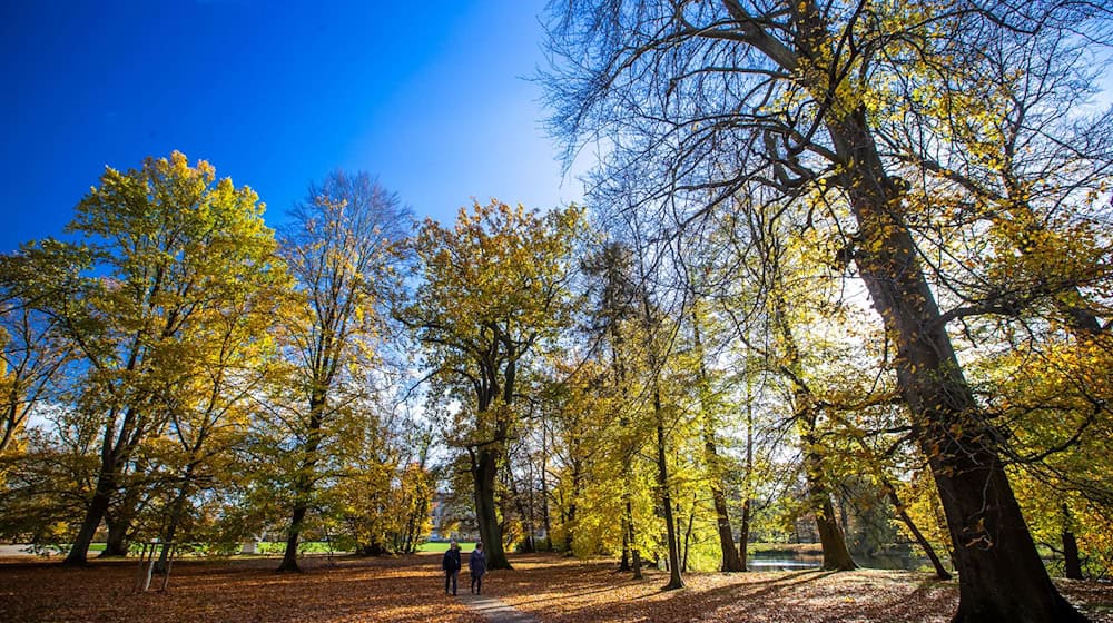 Die kommenden Tage zeigt sich der Herbst in Norddeutschland von seiner schönsten Seite. (Symbolbild) / Foto: Jens Büttner/dpa-Zentralbild/ZB