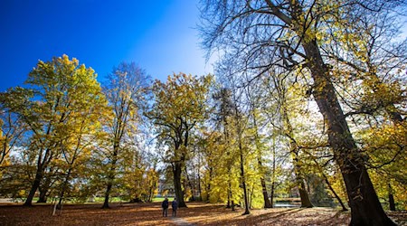 Die kommenden Tage zeigt sich der Herbst in Norddeutschland von seiner schönsten Seite. (Symbolbild) / Foto: Jens Büttner/dpa-Zentralbild/ZB