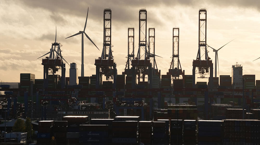 Der ZDS besteht aus rund 140 Mitgliedern der Hafenwirtschaft. (Archivbild)  / Foto: Marcus Brandt/dpa