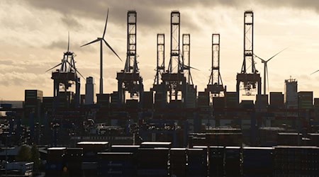 Der ZDS besteht aus rund 140 Mitgliedern der Hafenwirtschaft. (Archivbild)  / Foto: Marcus Brandt/dpa