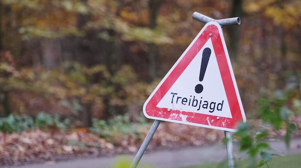 Bei einer Treibjagd sind zwei Spaziergänger durch Schrotkugeln leicht verletzt worden. (Symbolbild) / Foto: Sebastian Willnow/dpa