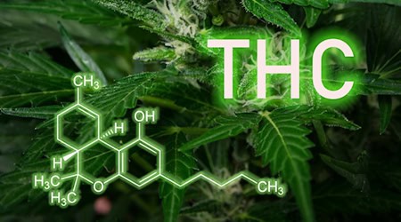 THC – der wichtigste Wirkstoff in Cannabis steht im Zentrum der neuen Gesetzgebung in Deutschland. / Foto: pixabay.com