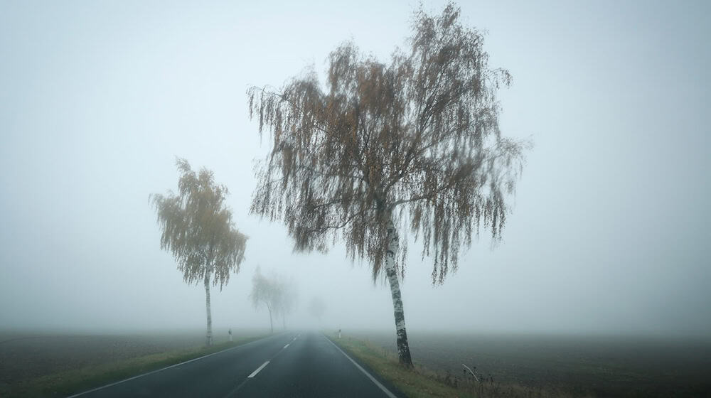  Das Wetter in Niedersachsen und Bremen bleibt wechselhaft mit gebietsweise Regen, Nebel und Frost. (Symbolbild) / Foto: Christian Charisius/dpa