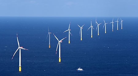 Nordlicht 2 soll insgesamt aus 44 Windrädern bestehen. (Symbolbild)  / Foto: Christian Charisius/dpa