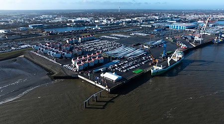 Im Hafen von Cuxhaven wurde ein toter Zwergwal entdeckt. (Symbolfoto) / Foto: Philipp Schulze/dpa