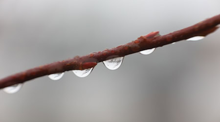 Besonders im Oberharz werden bis zum Wochenende glatte Straßen und eisige Nächte erwartet. (Symbolbild) / Foto: Matthias Bein/dpa