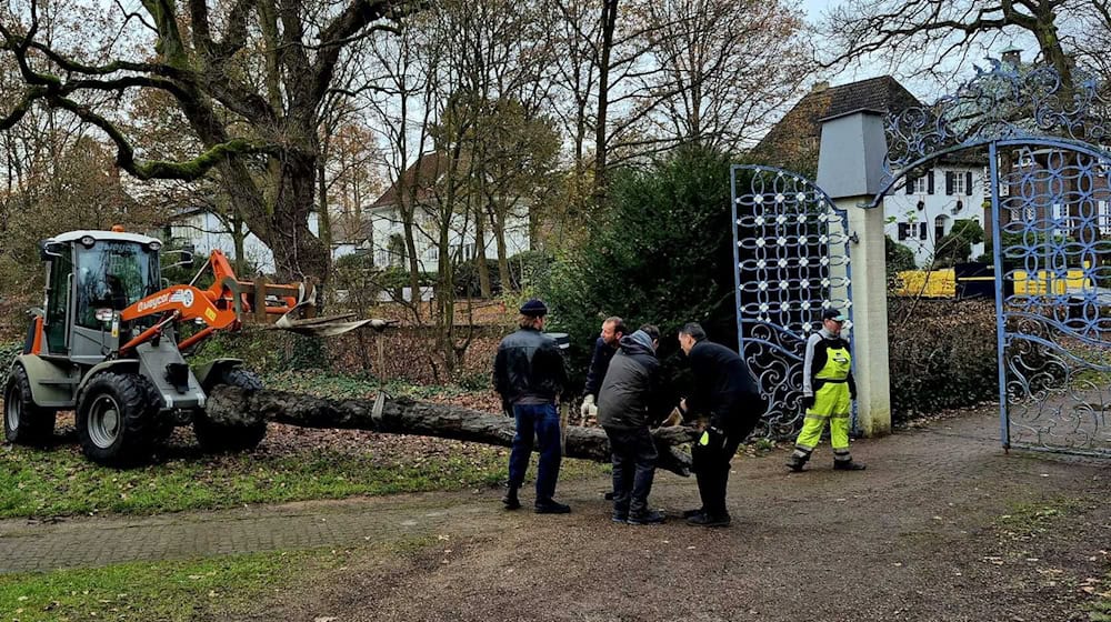Der Baumstamm wird künftig vor einem Gebäude des Focke-Museums ausgestellt. / Foto: Dieter Bischop/Landesarchäologie Bremen/dpa