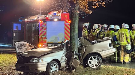 Zuerst fuhr der Mann gegen den Bordstein, dann prallte er gegen den Baum. / Foto: -/dpa