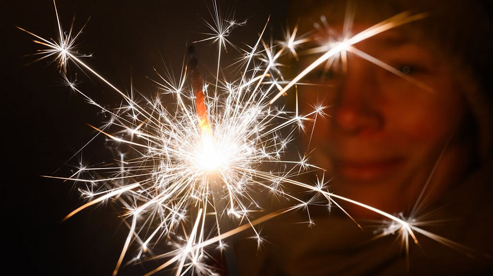 Die Feuerwehr löschte die Brände. (Symbolbild) / Foto: Julian Stratenschulte/dpa