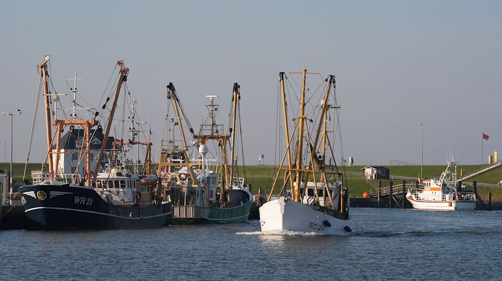 Der Bund zahlt Prämien an Fischer, die ihre Nordsee-Fischkutter aufgeben. (Archivbild) / Foto: Marcus Brandt/dpa
