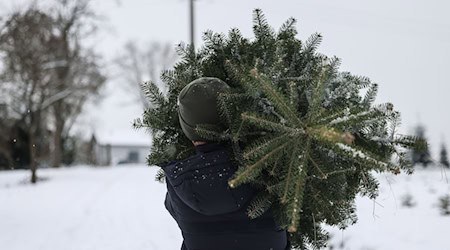 Polizisten beobachteten, wie die Männer den Weihnachtsbaum wegtragen wollten. (Symbolbild) / Foto: Oliver Berg/dpa