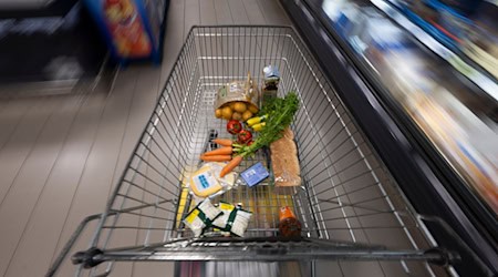 Ein Supermarktmitarbeiter stoppte die Diebe mit den vollen Einkaufswagen. (Symbolbild) / Foto: Philip Dulian/dpa