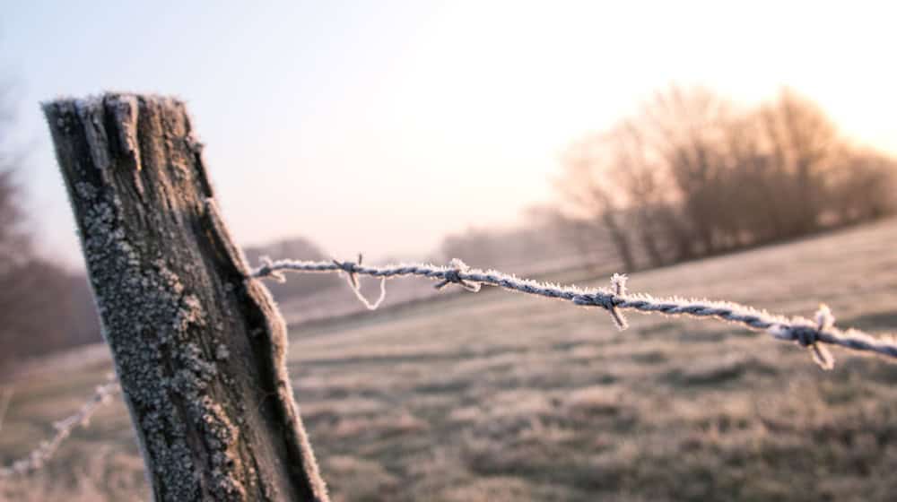 Die Weihnachtstage bringen in Norddeutschland viel Frost mit sich, es bleibt aber größtenteils freundlich. (Symbolbild) / Foto: Daniel Bockwoldt/dpa