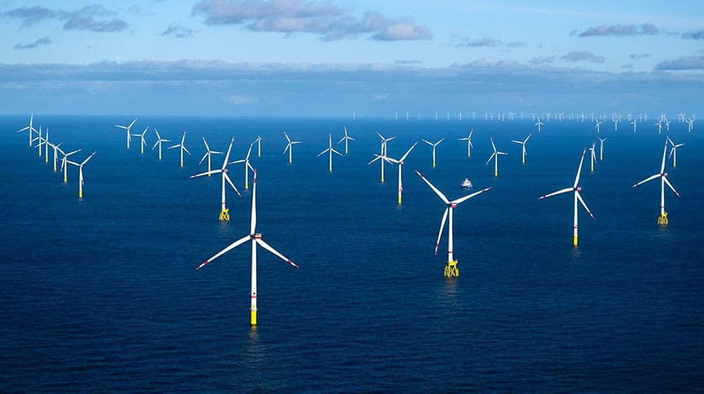 Die Neuregelung für die Besteuerung von «gemeindefreien Gebieten» wie Offshore-Windparks gilt in Niedersachsen von 2026 an. (Archivbild)  / Foto: Sina Schuldt/dpa