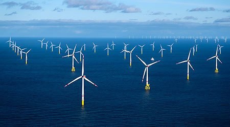 Die Neuregelung für die Besteuerung von «gemeindefreien Gebieten» wie Offshore-Windparks gilt in Niedersachsen von 2026 an. (Archivbild)  / Foto: Sina Schuldt/dpa